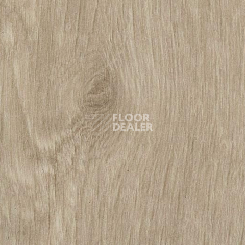Кварцвиниловые полы Forbo Effekta Professional 0.45 4044 P Dune Fine Oak PRO фото 1 | FLOORDEALER